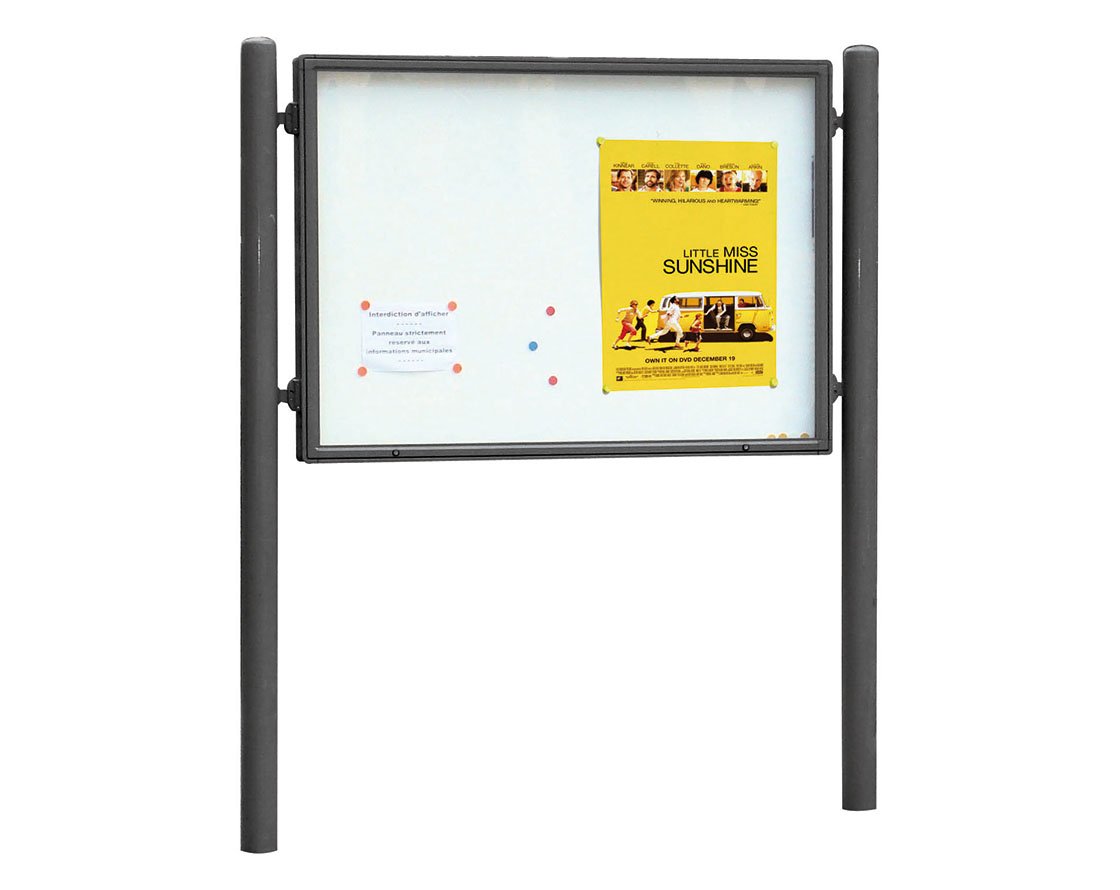 Panel de información Vega